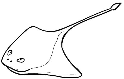 Green Stingray  Coloring Page